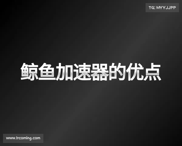 介绍鲸鱼加速器的优点